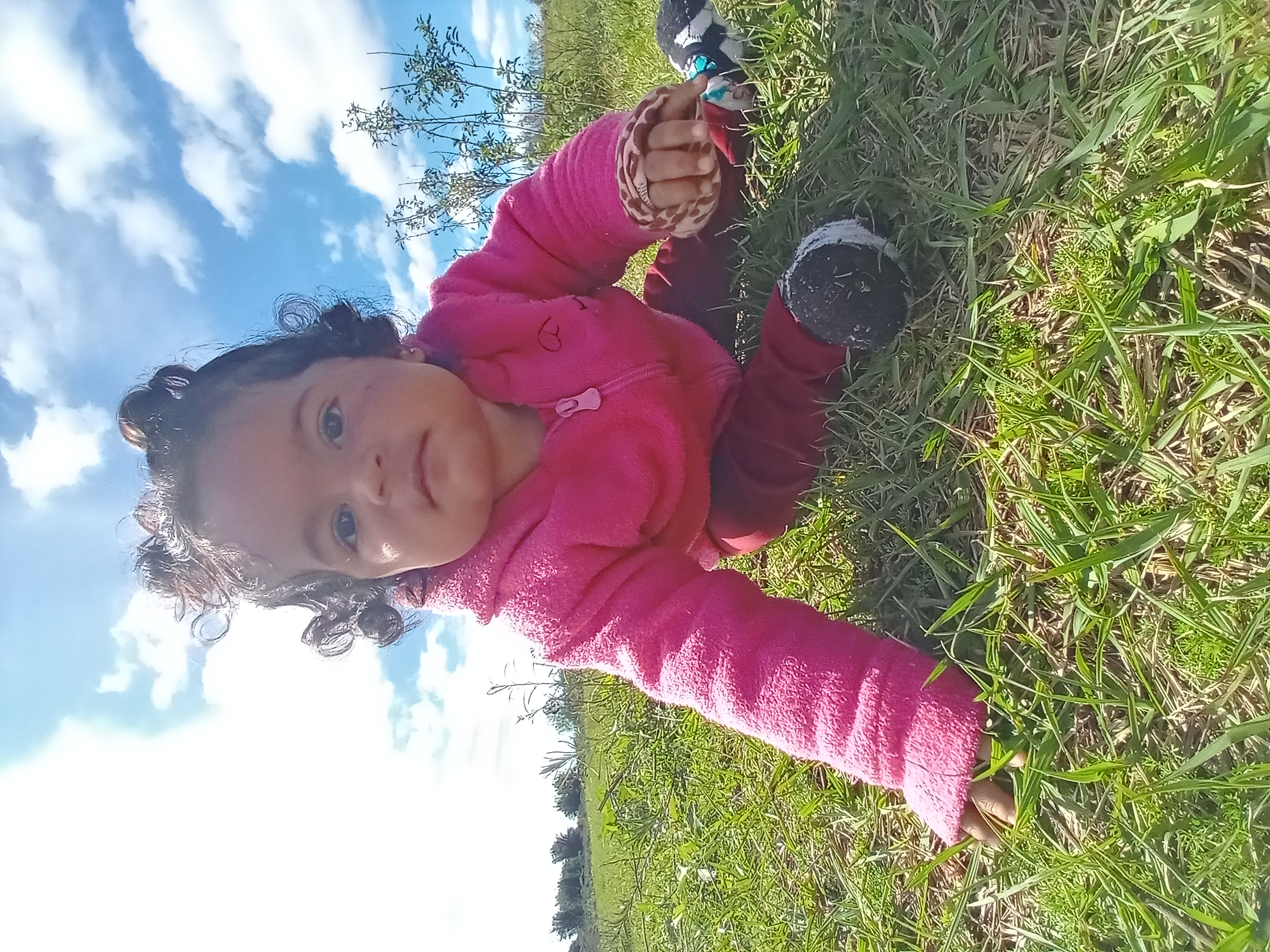 Isabelly M. de Oliveira